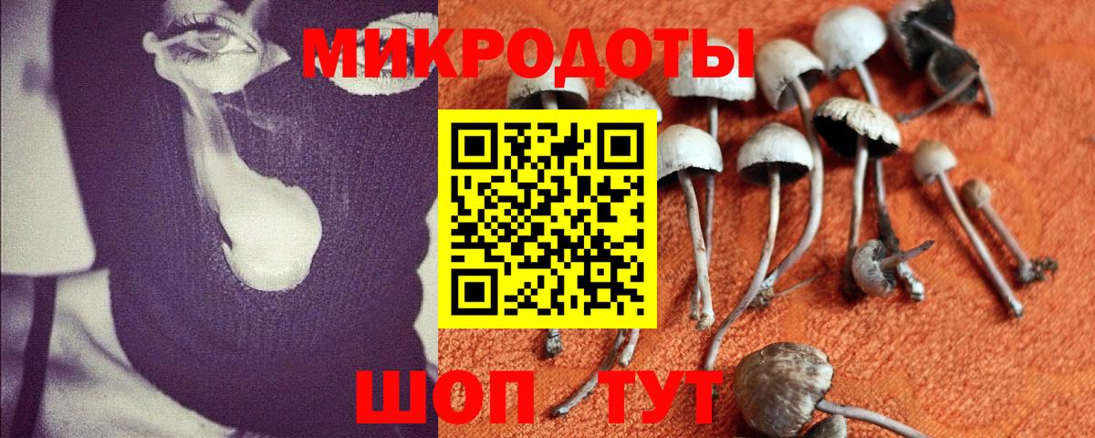 Назрань  Псилоцибиновые грибы ЛСД  Галлюциногенные грибы прущие грибы  Вход с VPN 